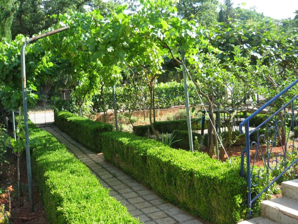 Apartments Sandra Новиград Екстериор снимка